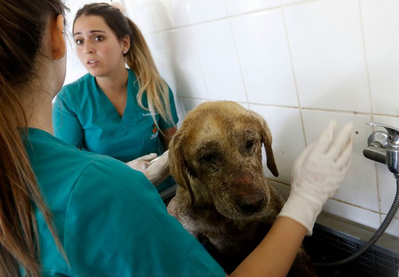 A_UNO_748418_d1dce 1.jpg