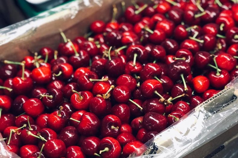 Europa exige sostenibilidad y trazabilidad a la fruta chilena. Los envíos de cerezas y frutos secos están bajo la lupa de la producción responsable.