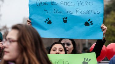 Nuevo caso de maltrato animal: Hombre estrangula hasta la muerte a su perro en La Cisterna