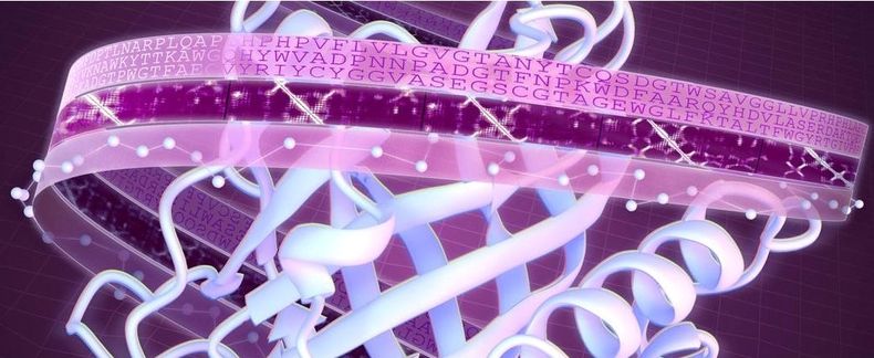 Proteinas Sicience.jpg