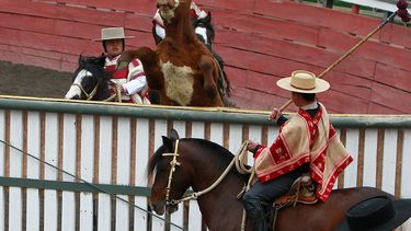 180 millones de pesos: las platas en juego para financiar el rodeo en la Región Metropolitana