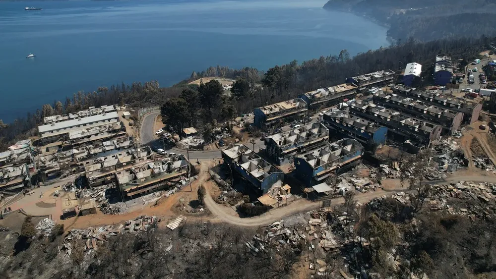 135 organizaciones socioambientales exigen al gobierno detener extractivismo forestal y reparación integral tras incendios