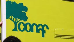Acceso gratis y guiado a áreas silvestres administradas por CONAF tendrán jóvenes de Teletón