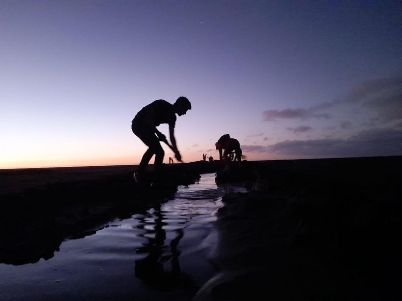 Personas voluntarias recogiendo basura del Río Maipo.
