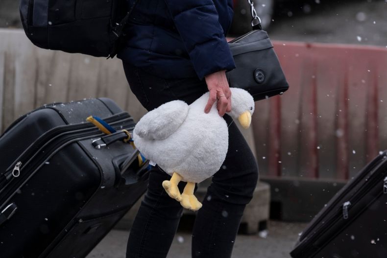 Save de Children Ucrania.jpg