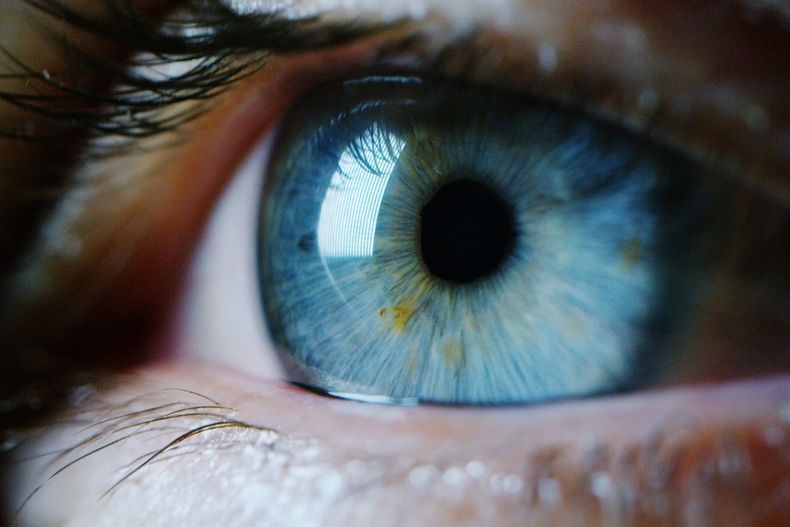 Iris de ojo.jpeg