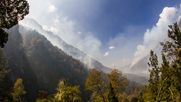 Cada 24 de agosto se conmemora el Día Internacional de los Parques Nacionales - Agencia Uno