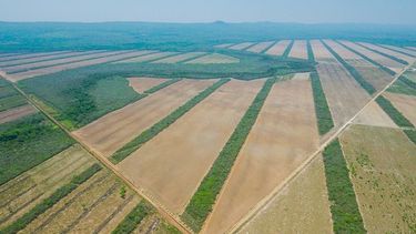 El Desconcierto | Vast acreages of soy stand out from the surrounding forest Bolivia_edit.jpg