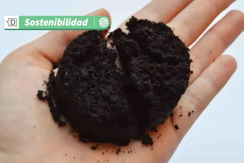 18761 diseno sin titulo 2025 07 08t102427.webp