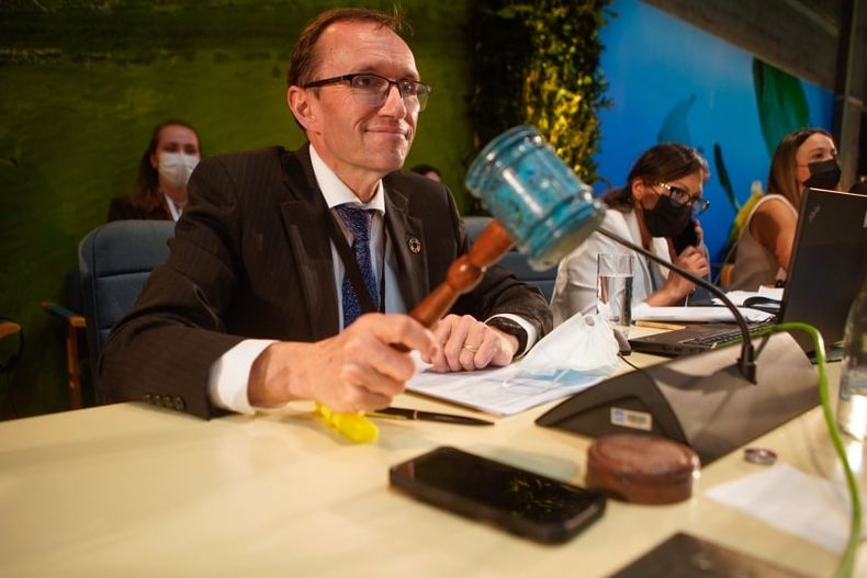 UNEA President brings down the gavel on the resolution. PhotoUNEP min.jpg