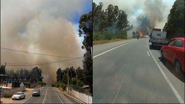 Alerta Roja en Quilpué: Incendio forestal de rápida propagación obliga a evacuar vía Alerta SAE