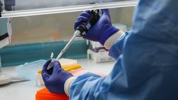 Terapia experimental que le salvó la vida a un paciente con COVID-19 en Chile es probada exitosamente en Colombia