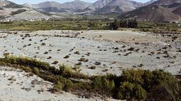 Hasta la última gota: La expansión de paltos seca dos comunidades más en Chile