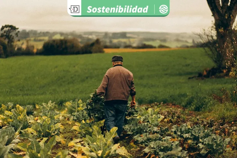 30642 diseno sin titulo 2026 03 02t104932.webp