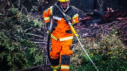 Magallanes: Incendio en Tierra del Fuego alcanza turberas milenarias
