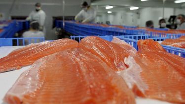 Minsal emite Alerta Alimentaria por presencia de listeria en salmón ahumado de Cuisine & Co. y SouthWind