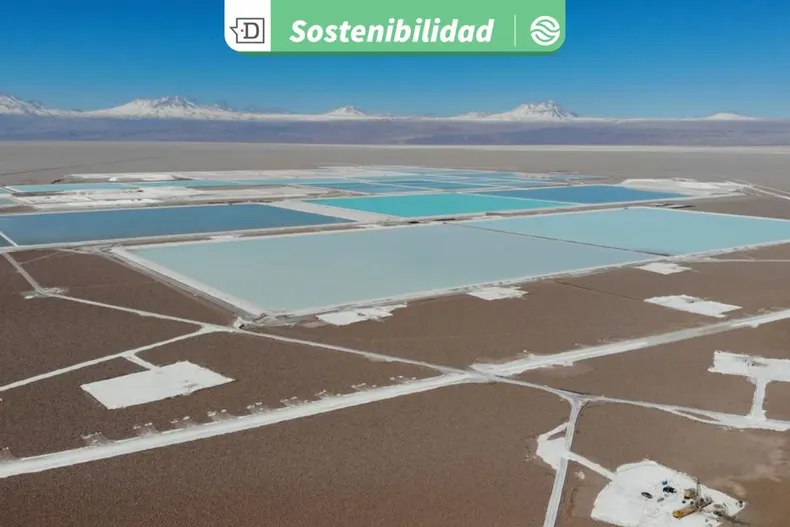 25150 diseno sin titulo 2025 11 03t095405.webp