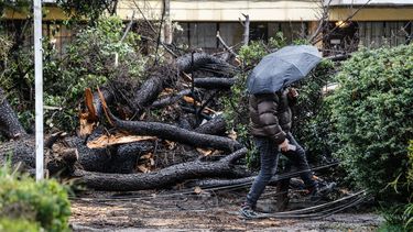 Podría haber tornados: emiten alerta meteorológica por vientos de hasta 80 km/h en la zona centro sur