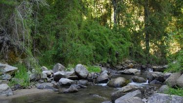 Confirman recategorización de Reserva Nonguén como parque nacional