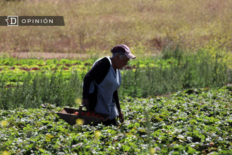 Mujer Trabajadora e1709927174302.png