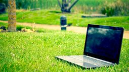 Los marketplaces eco-conscientes: La nueva tendencia en cuidado medioambiental