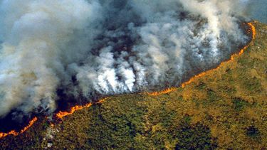 VIDEO| El registro que muestra el enorme incendio en el Amazonas que lleva 16 días
