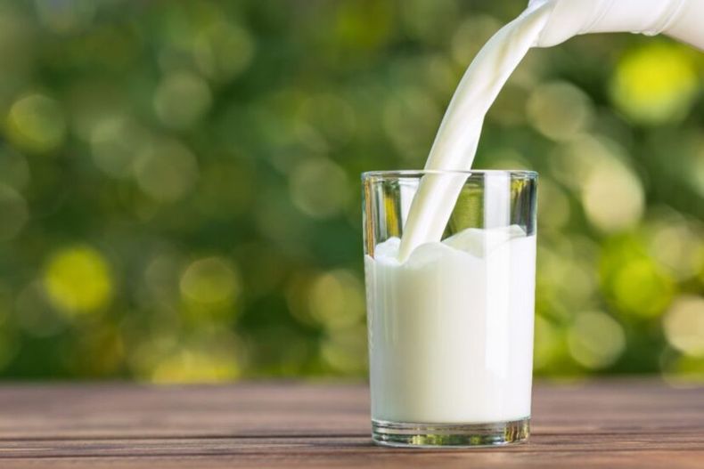 En el Día Mundial de la Leche, una académica de la U. Mayor advierte que las bebidas vegetales deben fortificarse para reemplazar nutrientes de origen animal.