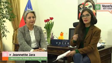 El Desconcierto | jara vallejo.jpg
