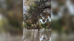 VIDEO | El Mapocho se salió en Peñaflor y explican por qué le hace bien a las plantas