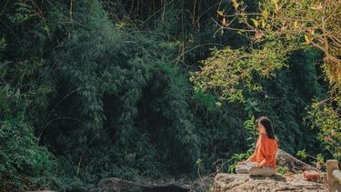 Caminar 30 minutos por un bosque reduce el estrés y aumenta niveles de relajación según estudio