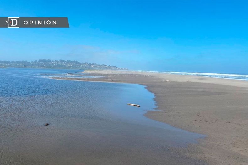 WhatsApp Image 2023 02 07 at 09.45.13.jpeg