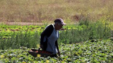 Mujeres tienen alto desempleo en Chile - Agencia Uno