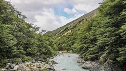 Proteger la biodiversidad y los ecosistemas es clave para combatir la crisis climática - Agencia Uno Proteger la biodiversidad y los ecosistemas es clave para combatir la crisis climática - Agencia Uno