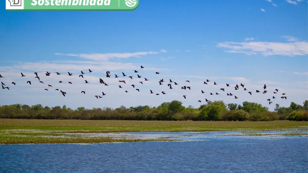 Último llamado para postular a la Escuela REDAR: Instancia de formación en D.D.H.H. para líderes en la defensa ambiental