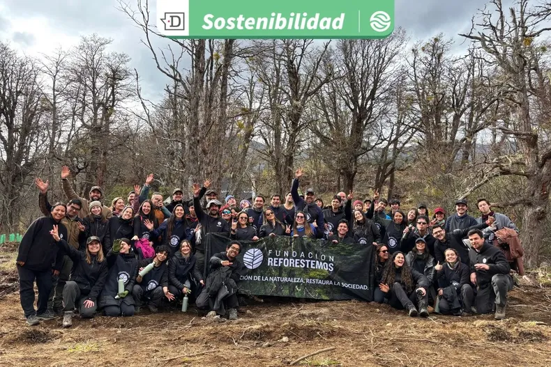 22671 diseno sin titulo 2025 09 16t101208.webp