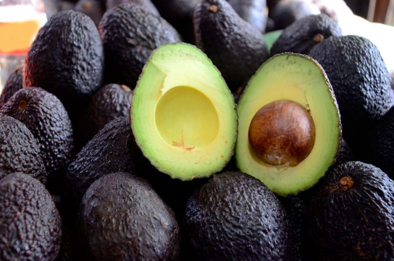 Aguacate 2 e1637698931114.jpeg