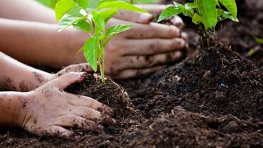 El Desconcierto | educacion ambiental.jpg