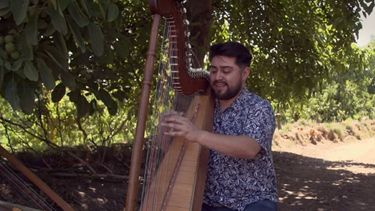 El Desconcierto | Diego Barrera tocando el arpa.jpg