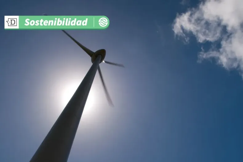 16134 diseno sin titulo 2025 05 22t135027.webp