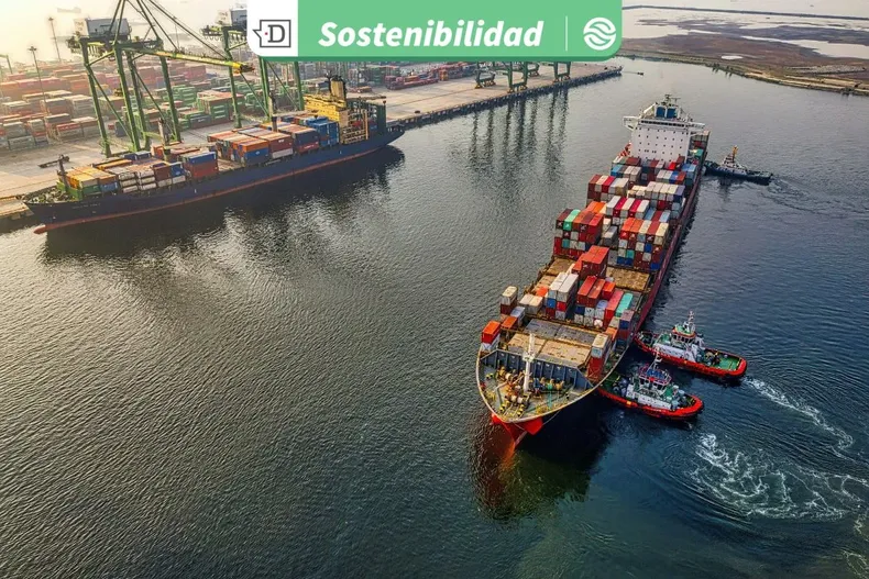 28656 diseno sin titulo 2026 01 13t125945.webp