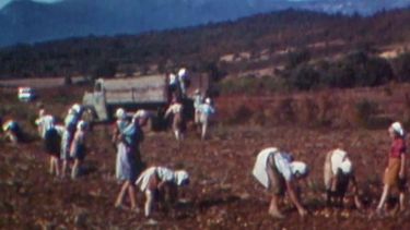 Campesinos expulsados por Colonia Dignidad, víctimas invisibles de Schäfer y Pinochet