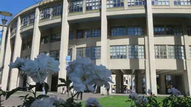 Estudiante TEA fue a la justicia porque universidad suspendió adecuaciones: Corte ordenó anular semestre y devolver aranceles