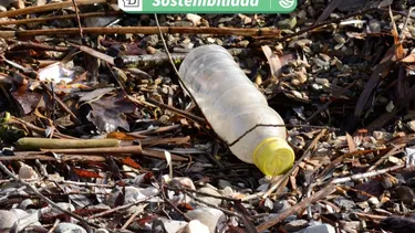 Convocatoria abierta: Programa busca soluciones innovadoras para apurar la circularidad de plásticos en América Latina