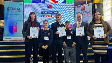 Gobierno anuncia Plan de Acción 2024-2030 para prevenir consumo de drogas