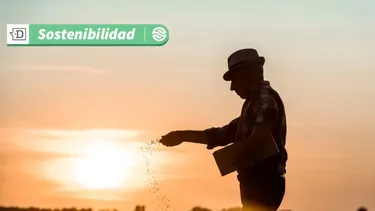Gestión y eficiencia hídrica para diversos cultivos: Agricultores de Tiltil reciben certificación en Producción Limpia