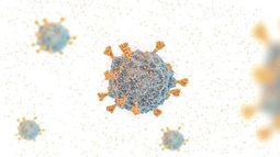 Variante Ómicron: Reino Unido confirma primera muerte por esta mutación del COVID-19