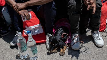 Extranjeros en Chile suman casi 1,5 millones y casi un tercio viene de Venezuela