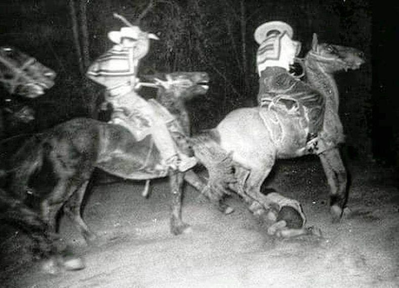 Huasos y latigazos.jpg