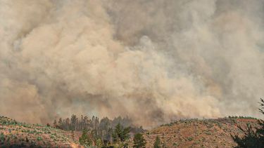 El desconcierto | 30424 a uno 1713375.jpg