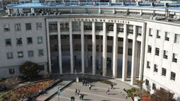 Corte de Apelaciones ordenó intervenir árbol que afectaba vivienda de adulto mayor / Poder Judicial Corte de Apelaciones ordenó intervenir árbol que afectaba vivienda de adulto mayor / Poder Judicial